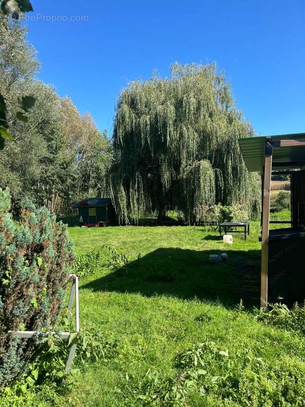 Photo 6 - Terrain à RICQUEBOURG