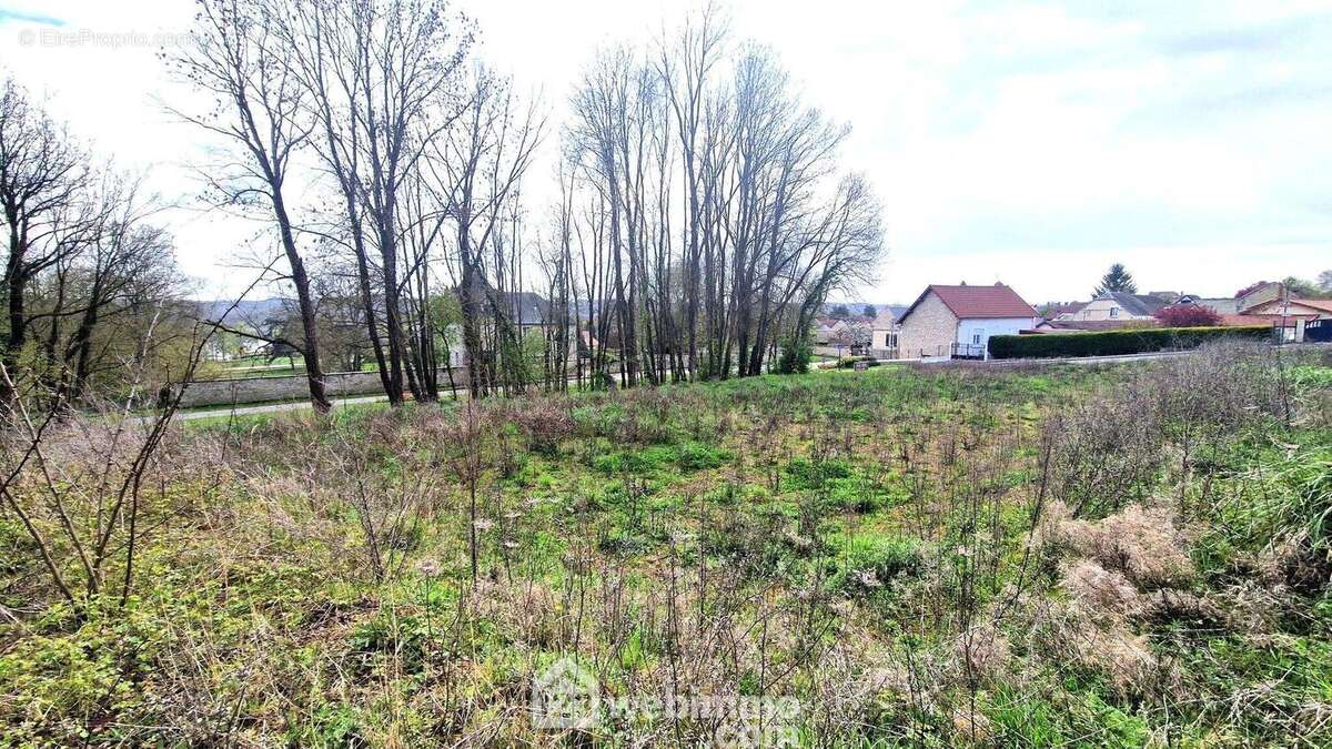 Ce terrain n'attend plus que vous et votre projet - Terrain à CHAMOUILLE