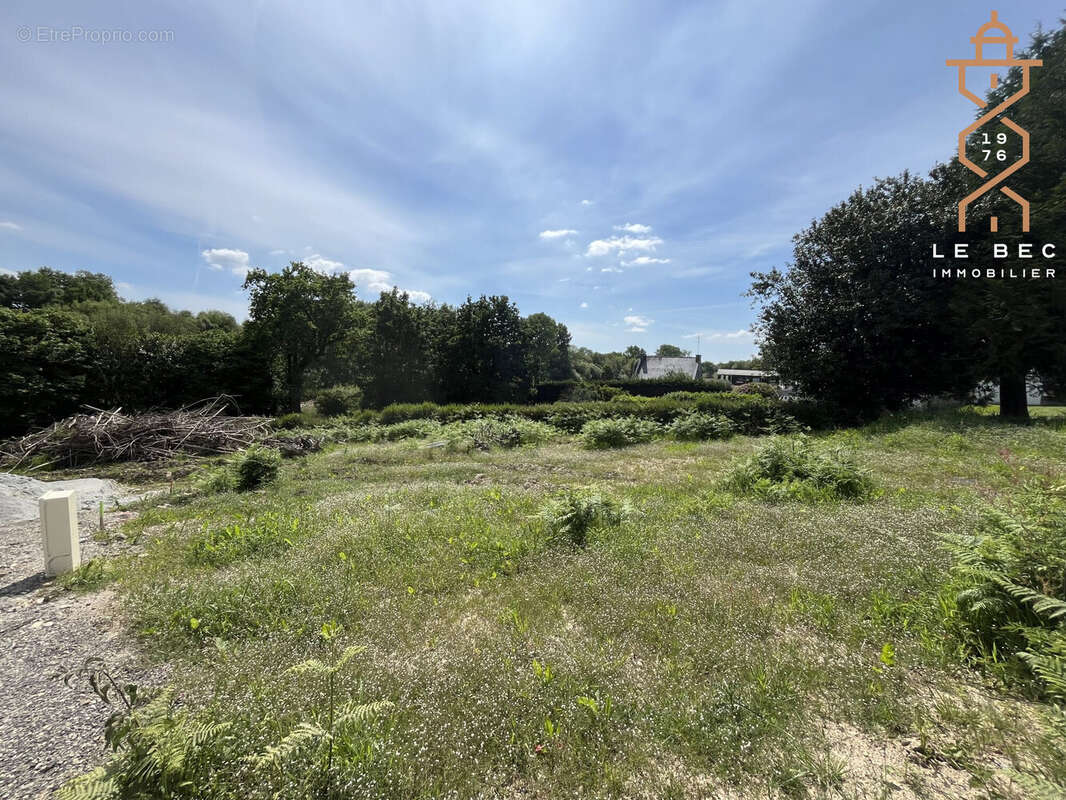 Terrain à PLUMELIN
