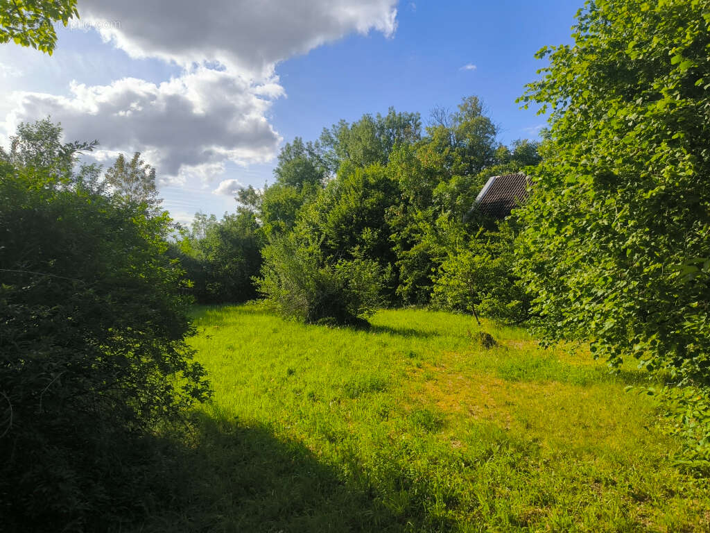 Terrain Vulaines Sur Seine 1349 m2 - photo 2