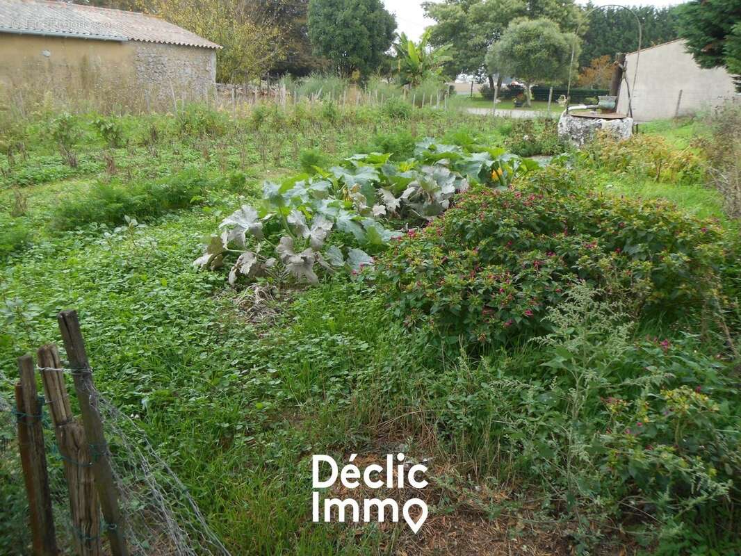 Maison à SAINTE-GEMME