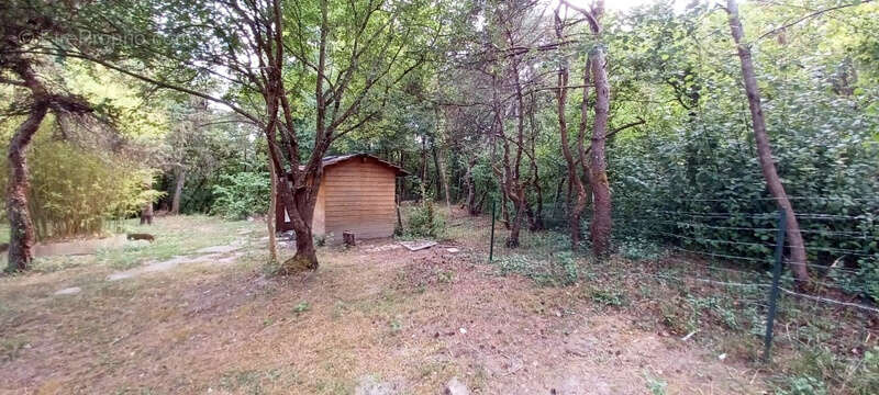 Maison 4 Chambres avec Terrain - photo 12