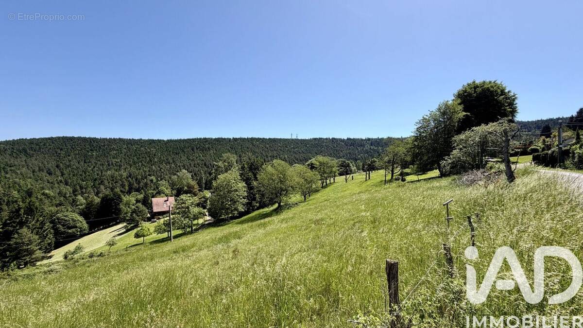 Photo 1 - Terrain à DABO