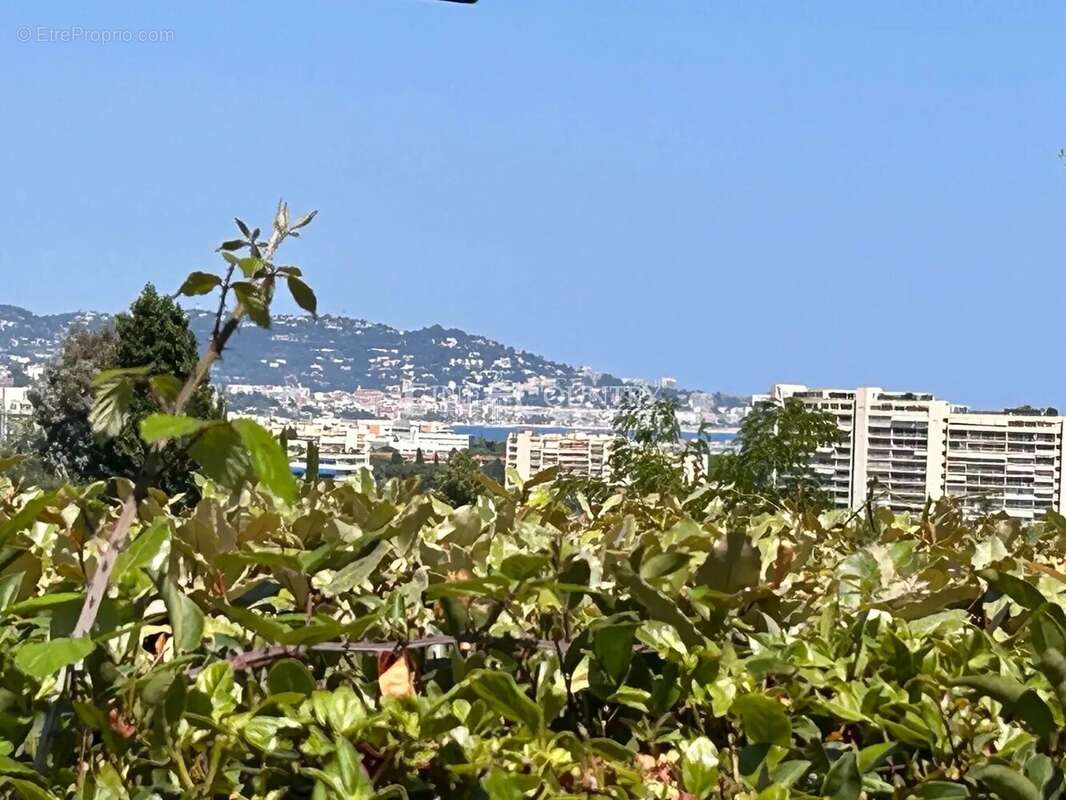 Maison à MANDELIEU-LA-NAPOULE