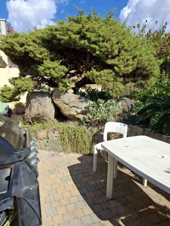 Appartement à OLMETO