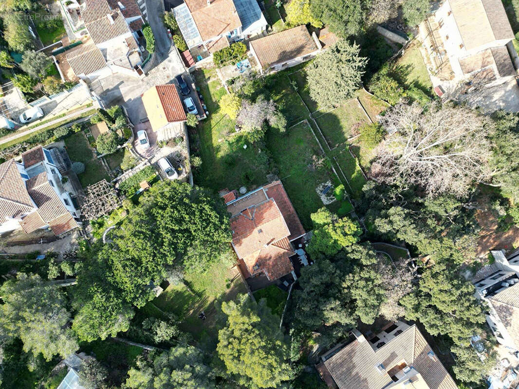 Terrain à LE PRADET