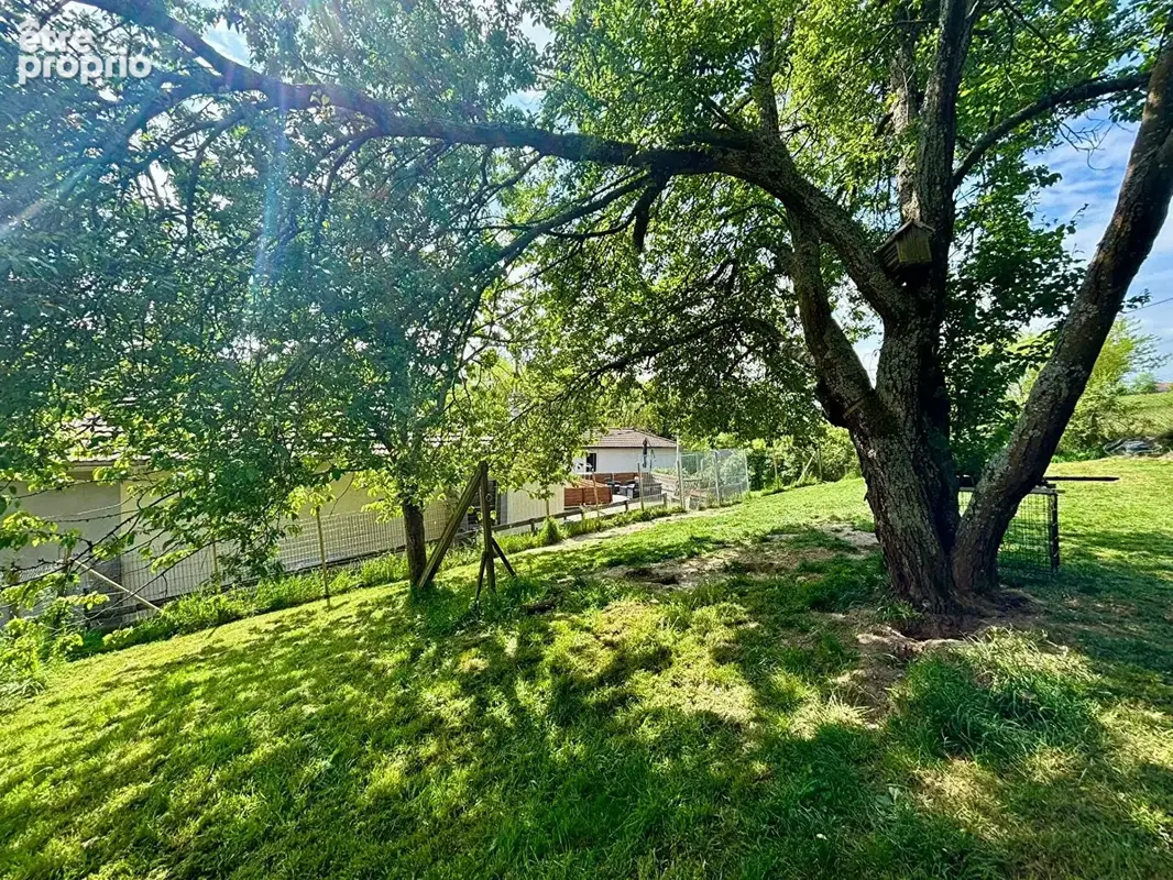 Maison principale avec deux appartements et jardin - photo 12