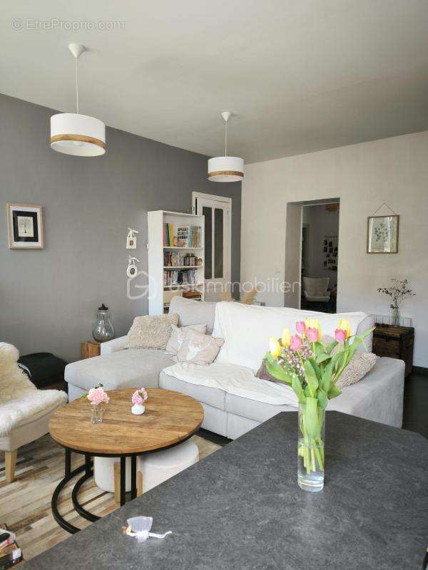 Appartement à VIZILLE