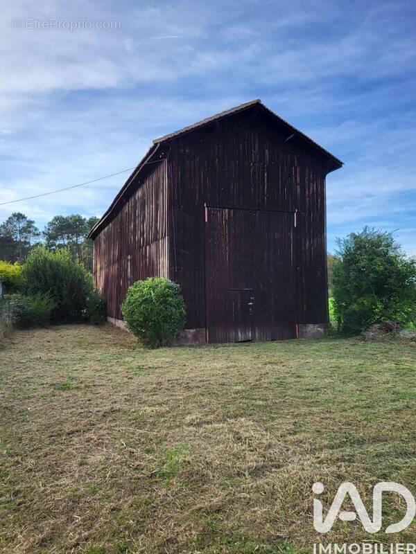 Photo 1 - Terrain à BAZAS