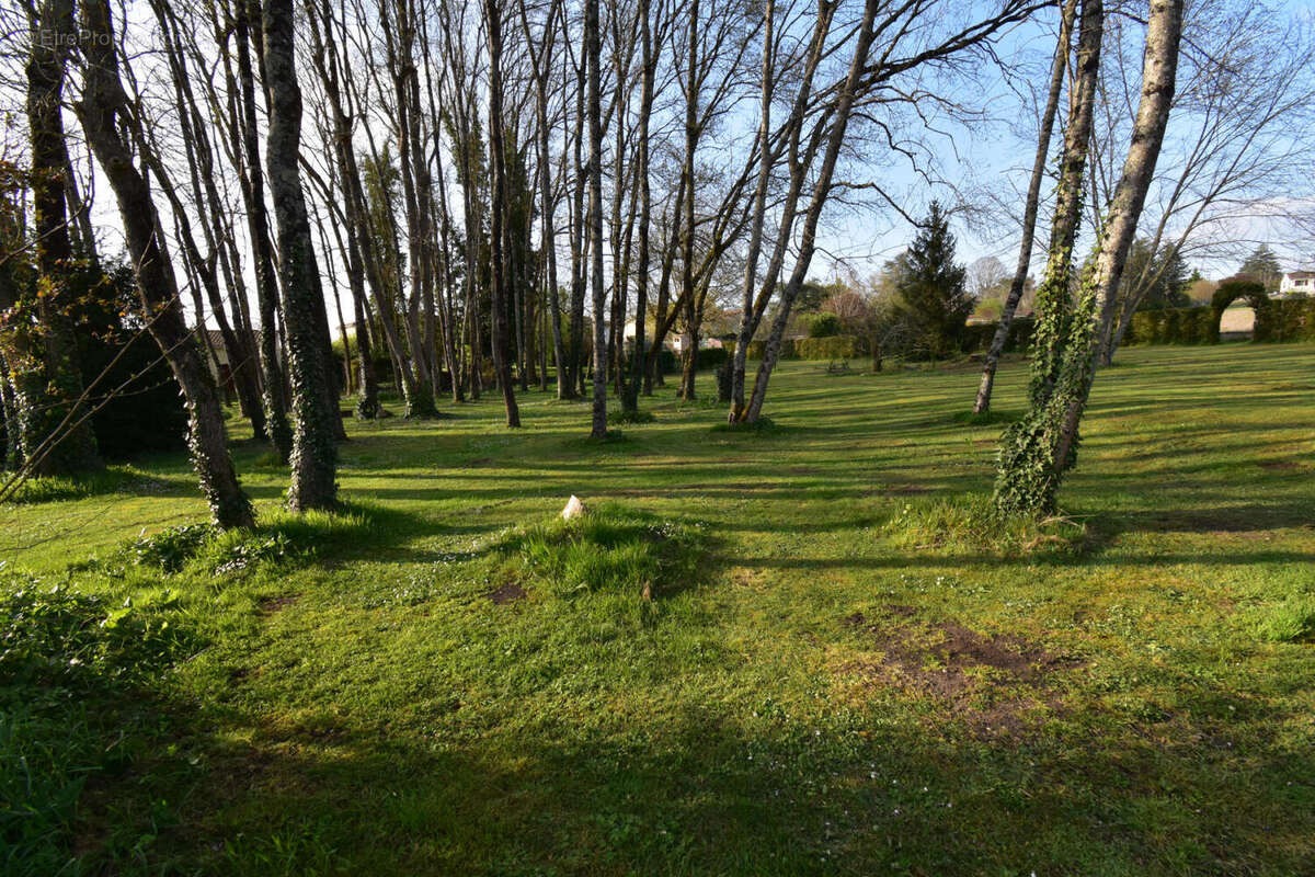 DSC_0073 - Maison à L&#039;ISLE-D&#039;ESPAGNAC