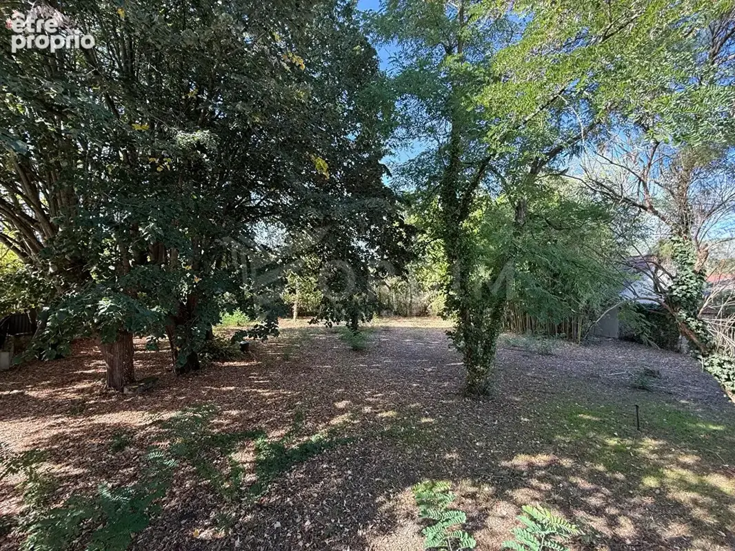 Maison Bonny Sur Loire 5 pièce(s) 170m² 4 chambres terrain 1562 m² - photo 5