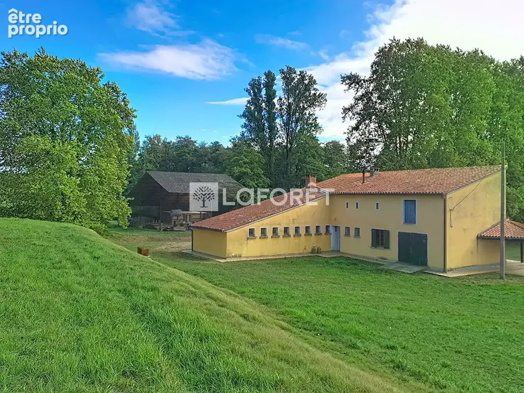 Propriété de 116 hectares !!!  20 minutes Est de Montauban - photo 13