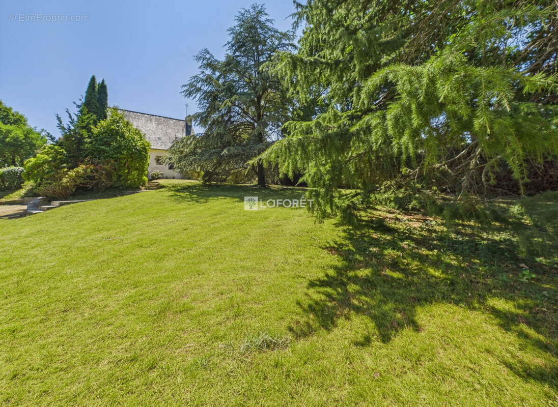 Nouveauté Maison Fouesnant 5 pièce(s) 110m2 - photo 14