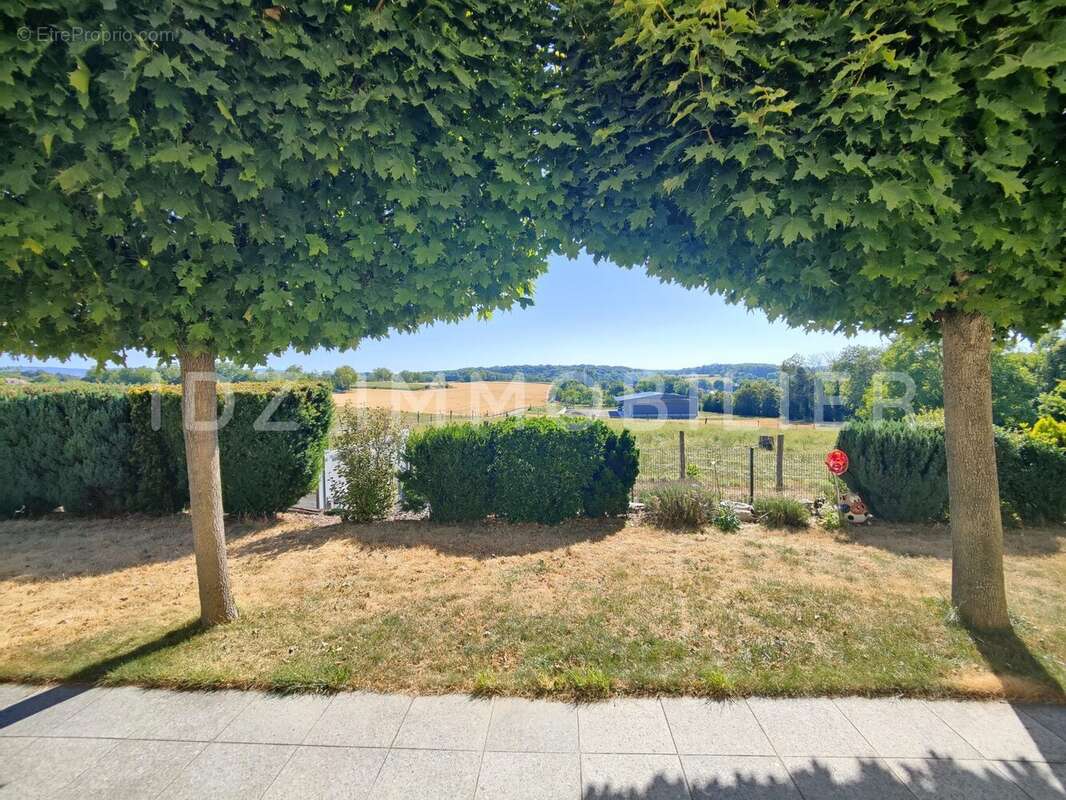 Maison 170 m² à Hegenheim  - photo 3