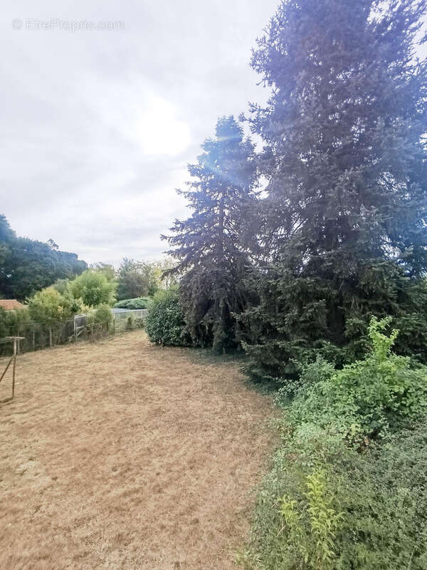 Maison à SAINTE-COLOMBE-EN-BRUILHOIS