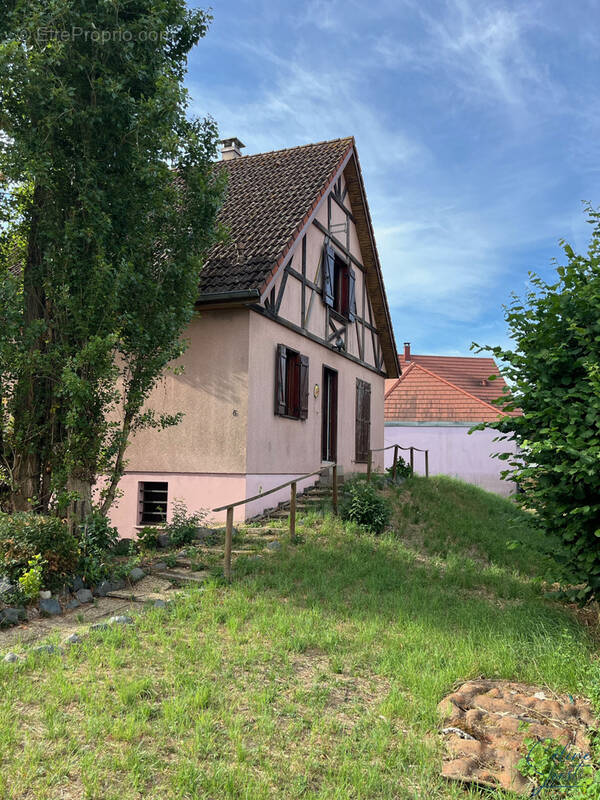 Maison à LOGELHEIM