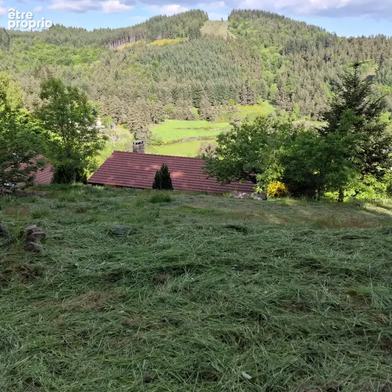Maison en pierres avec gîte sur 2500 m2 de terrain - photo 16
