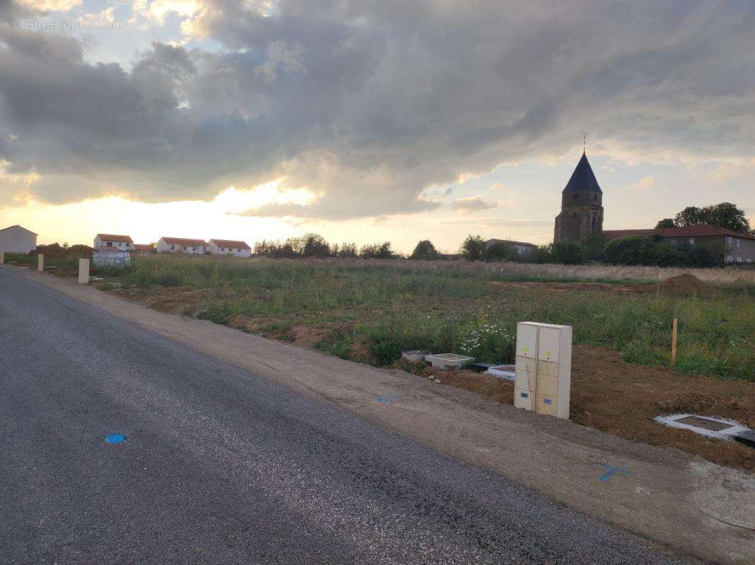 Terrain à SAINTE-BARBE