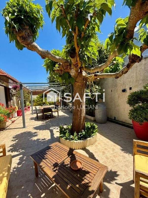 Photo 4 - Maison à SARTENE