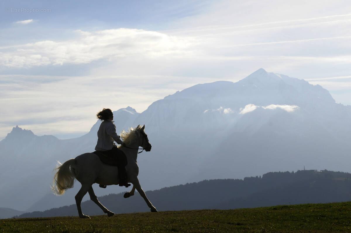 Terrain à CHAMONIX-MONT-BLANC