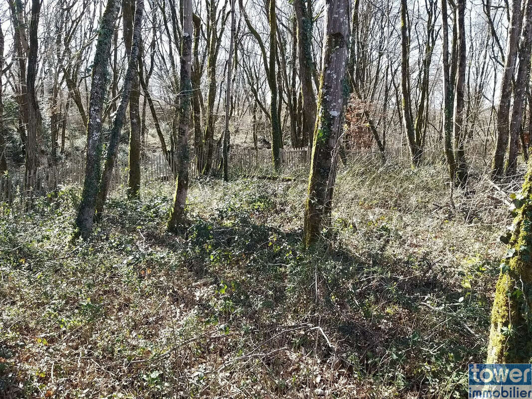 Terrain à PRANZAC