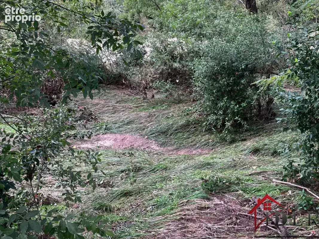 Terrain 800m2 - photo 3