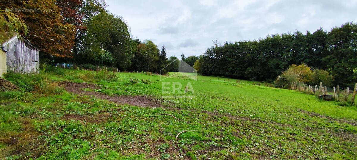 Maison à BERD&#039;HUIS