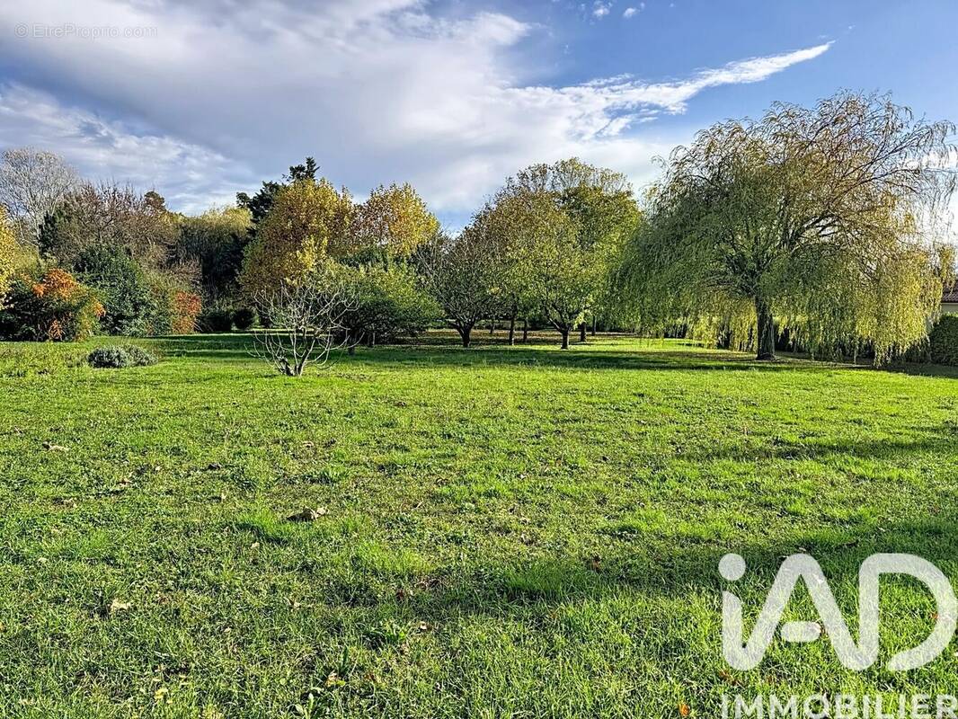 Photo 1 - Terrain à AMBONIL