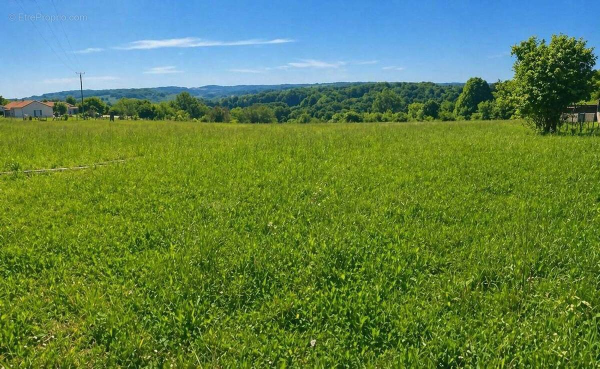 Terrain à SAINT-MARTIN-DE-RIBERAC