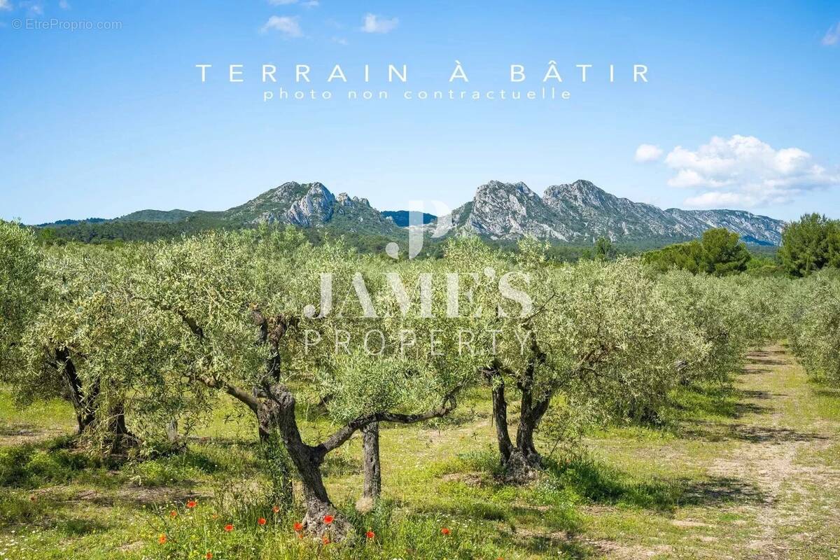 Terrain à SAINT-REMY-DE-PROVENCE