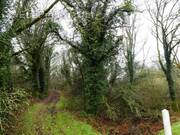 Terrain à SAINT-TUGDUAL