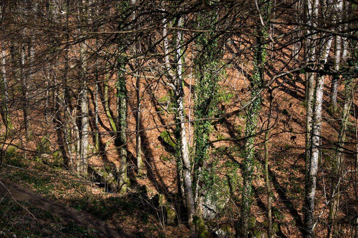 Maison à AUXELLES-HAUT
