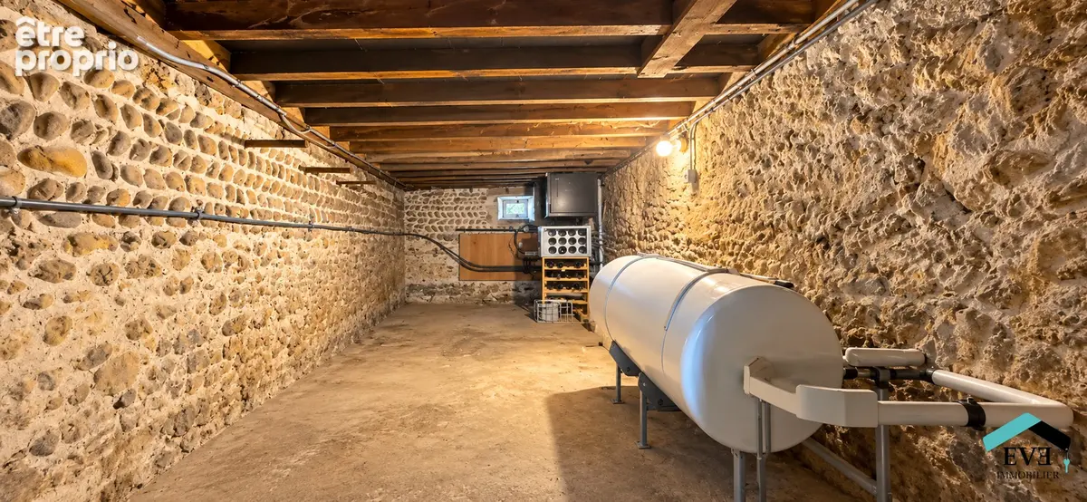 Maison La Chapelle De Surieu 9 pièce(s) 380 m2 - photo 17