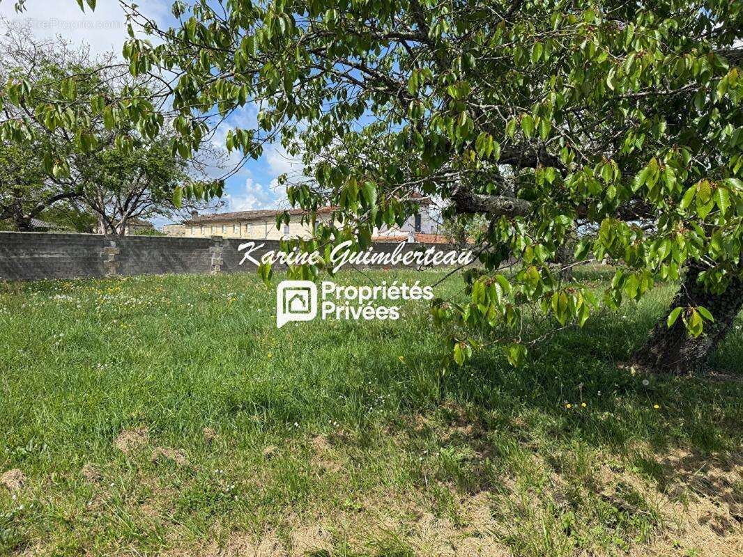Terrain constructible - Lussac 690 m2 - photo 3