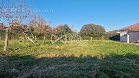Terrain 882 m² à Castelsarrasin  - photo 2