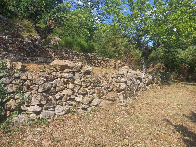Maison à SAINT-MAURICE-EN-CHALENCON