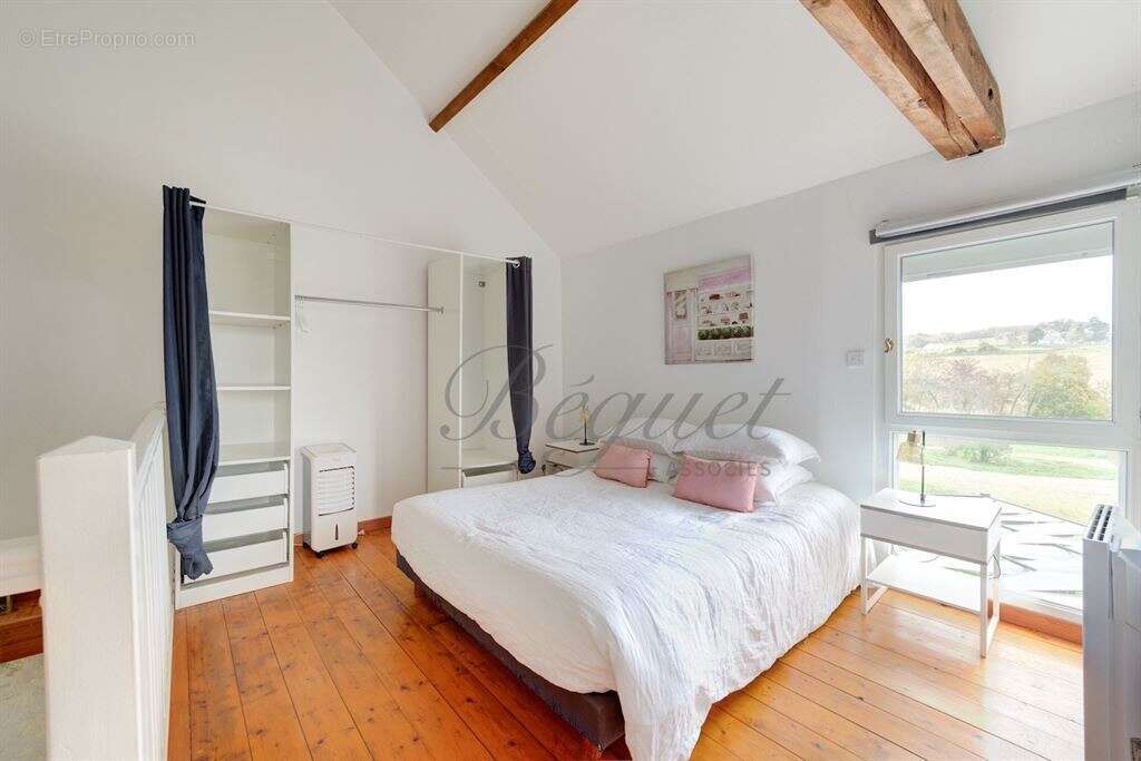 Cravant-les-Côteaux - 37500 - Maison - 325 m2 - 7 chambres - 2 gites - Piscine - parc 7000 m² - photo 6