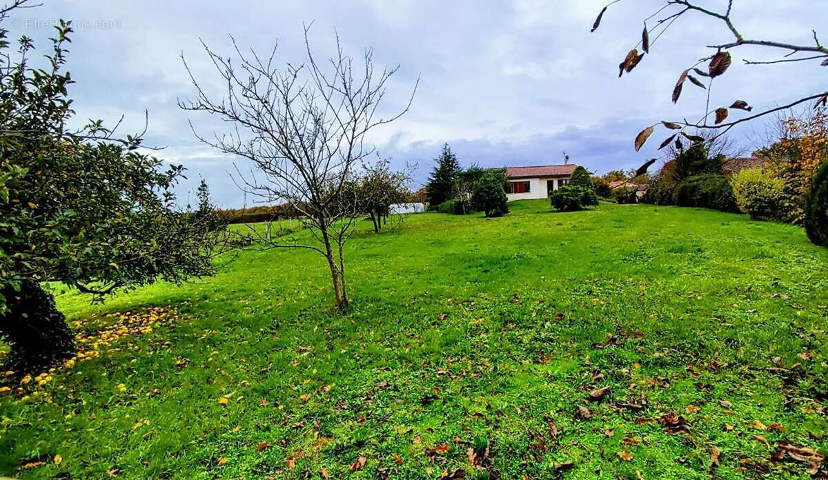 Maison à AVAILLES-LIMOUZINE