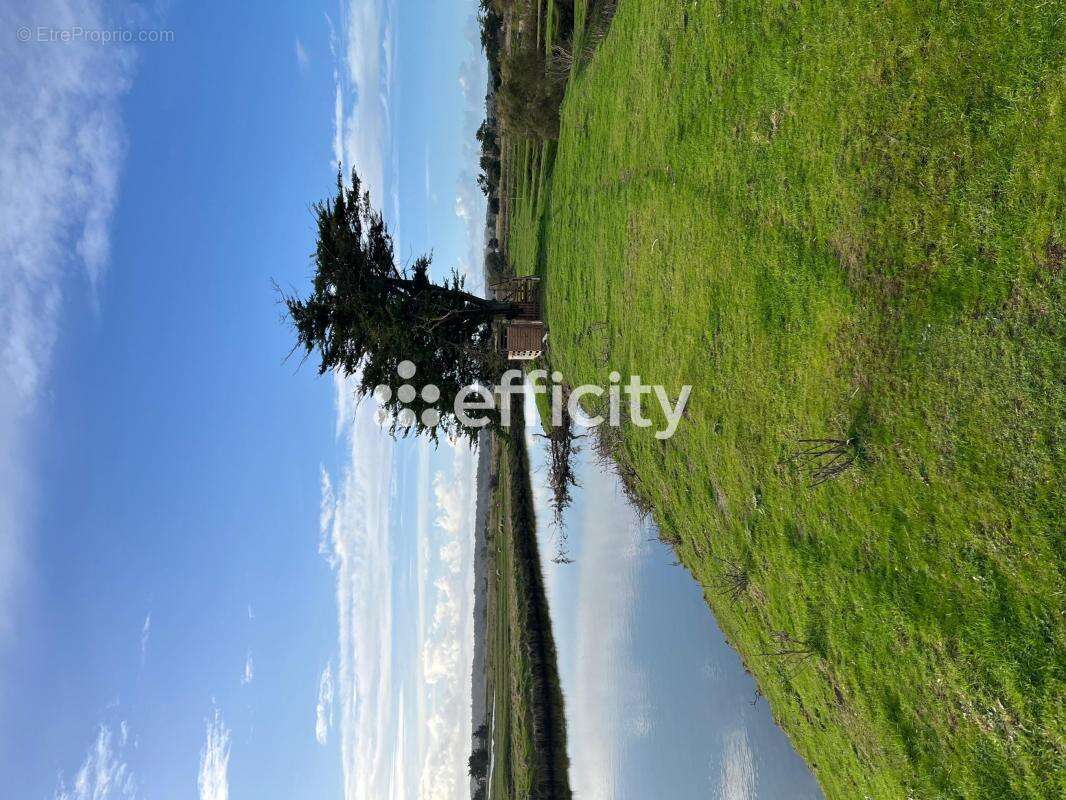 Terrain à L&#039;ILE-D&#039;OLONNE
