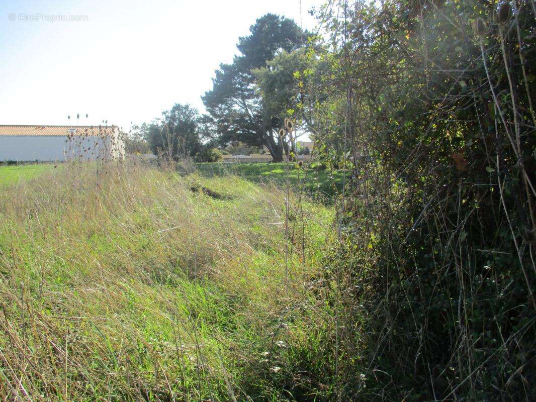 Terrain à BREM-SUR-MER