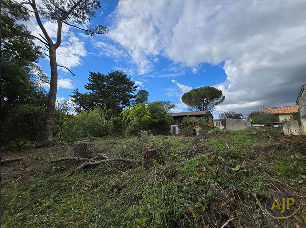 Terrain à SAINTE-EULALIE