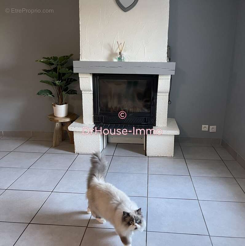 Maison à SAINT-APOLLINAIRE-DE-RIAS