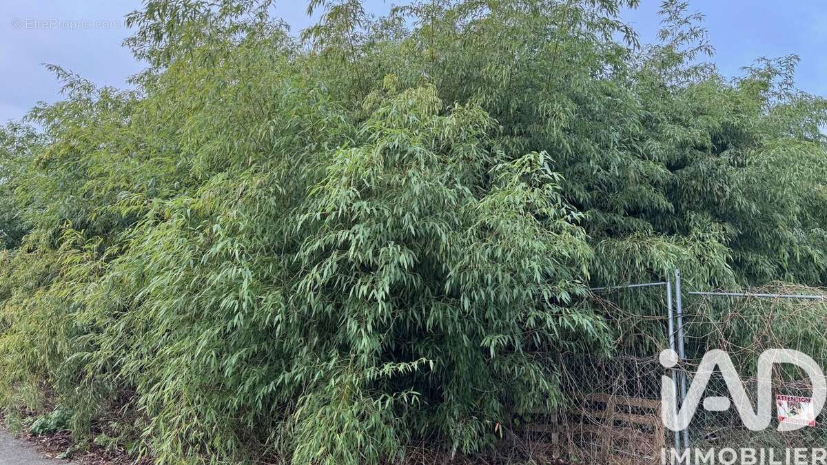 Photo 2 - Terrain à ROMILLY-SUR-SEINE