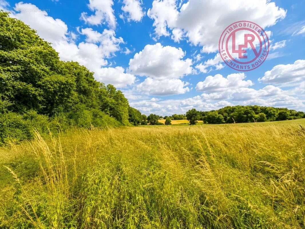 Proche Mortagne au Perche - Domaine avec Parc de 6ha - photo 2