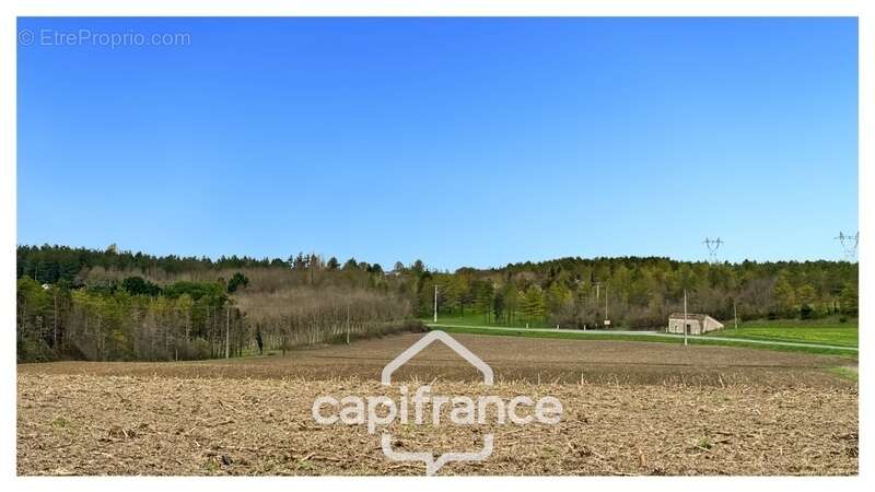 Maison à MONFLANQUIN