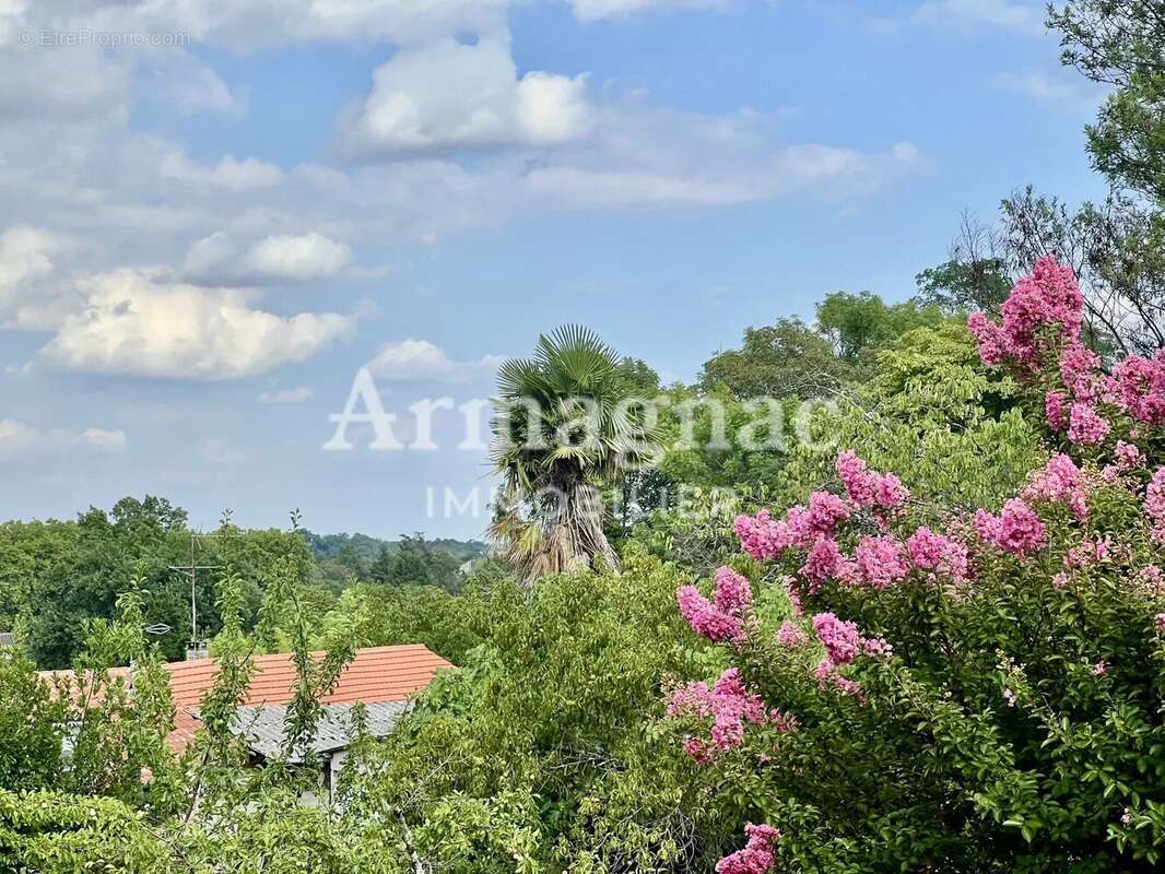Maison avec appartement Eauze centre - photo 17