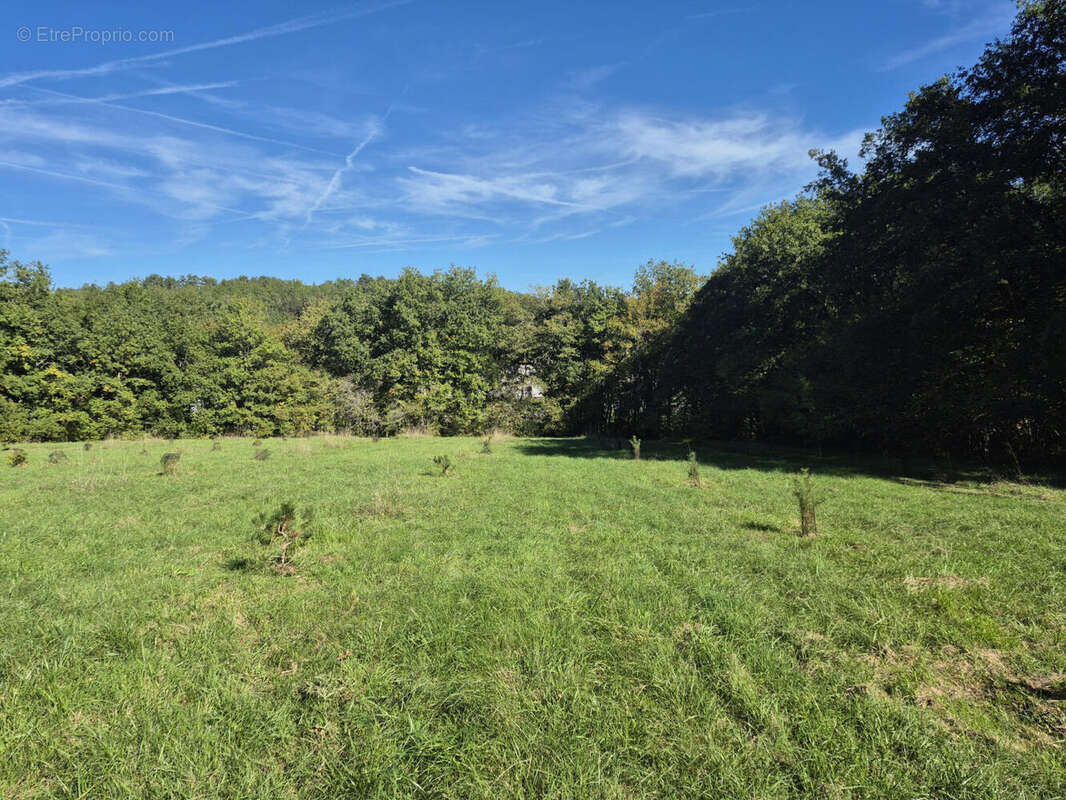 20251007_151853 - Maison à SAINT-MARTIAL-DE-VALETTE