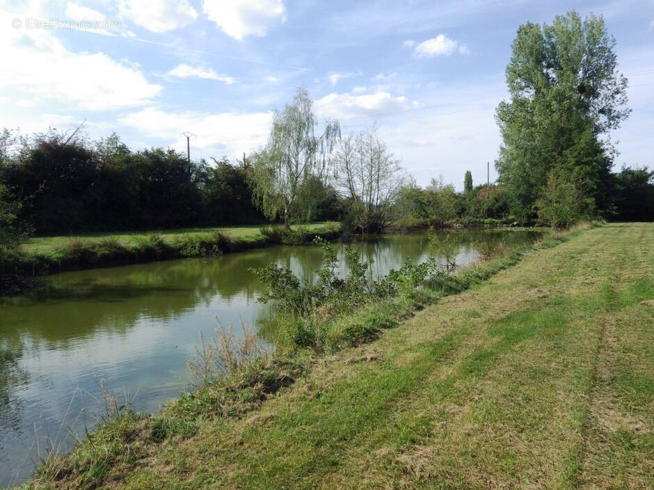 Terrain à VILLEREAU