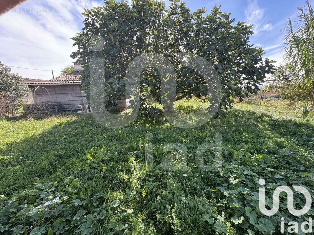 Photo 4 - Maison à MEJANNES-LES-ALES