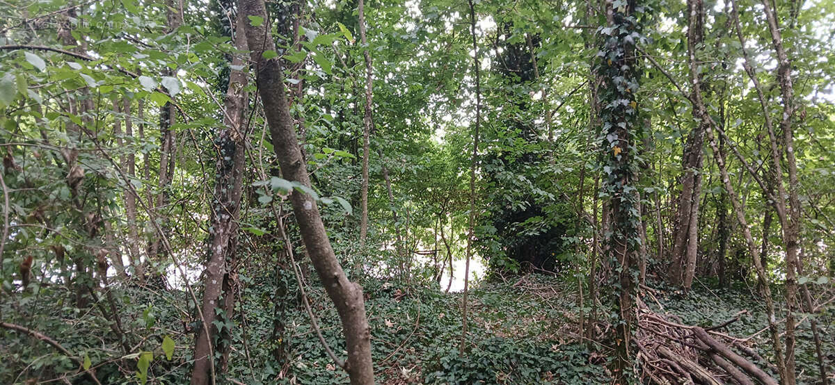 Terrain Dommartemont 1116 m2 - photo 4